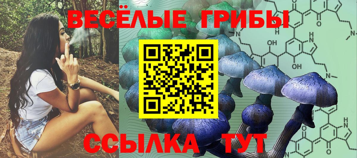 Галлюциногенные грибы мицелий  Псилоцибиновые грибы мухоморы  Вход с VPN  хочу   Петропавловск-Камчатский 